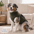 Serenimo Soothing Vest for Dogs