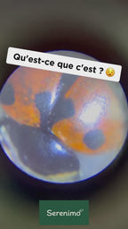 EXPLORIO — Microscope de poche pour enfants + Le Carnet de l’Explorateur
