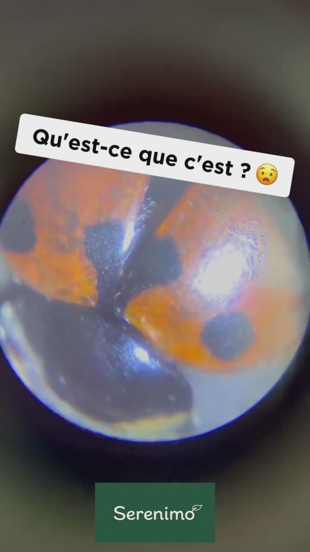 EXPLORIO — Microscope de poche pour enfants + Le Carnet de l’Explorateur
